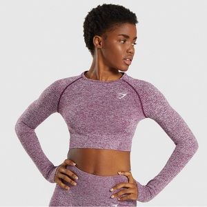 Gymshark Longsleeve Crop Workout Top